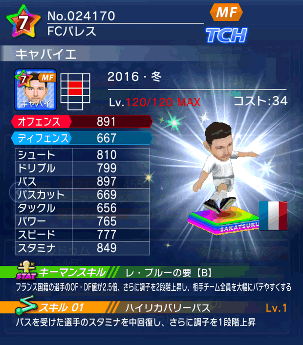 No.24170　キャバイエ【16・冬】