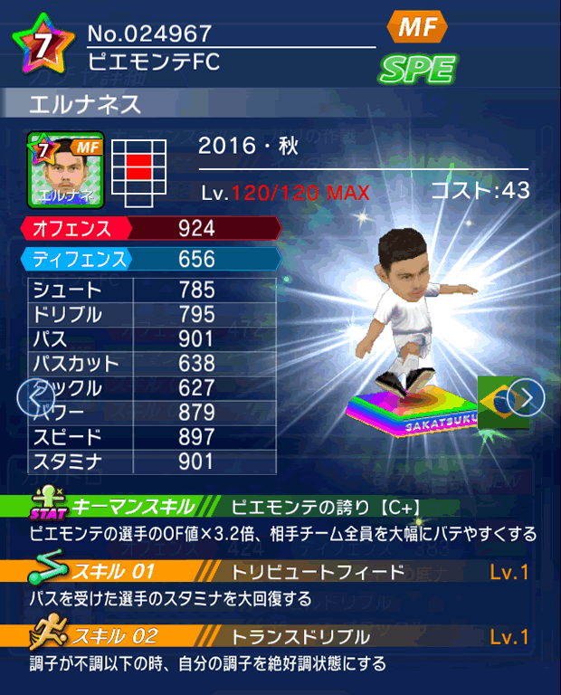 No.24967　エルナネス【16・秋】