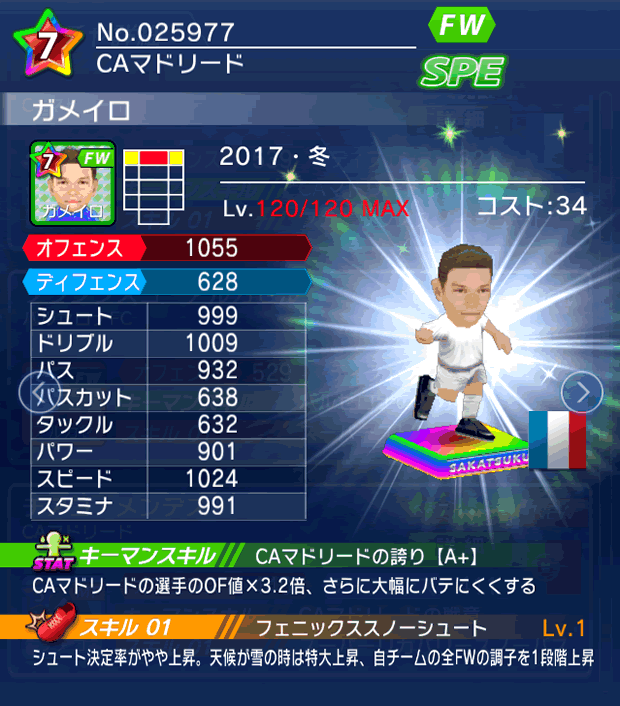 No.25977　ガメイロ【17・冬】